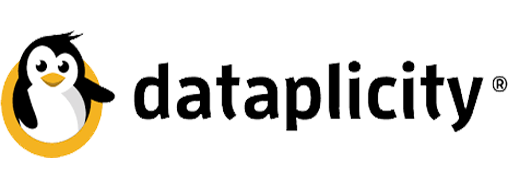 Dataplicity logo